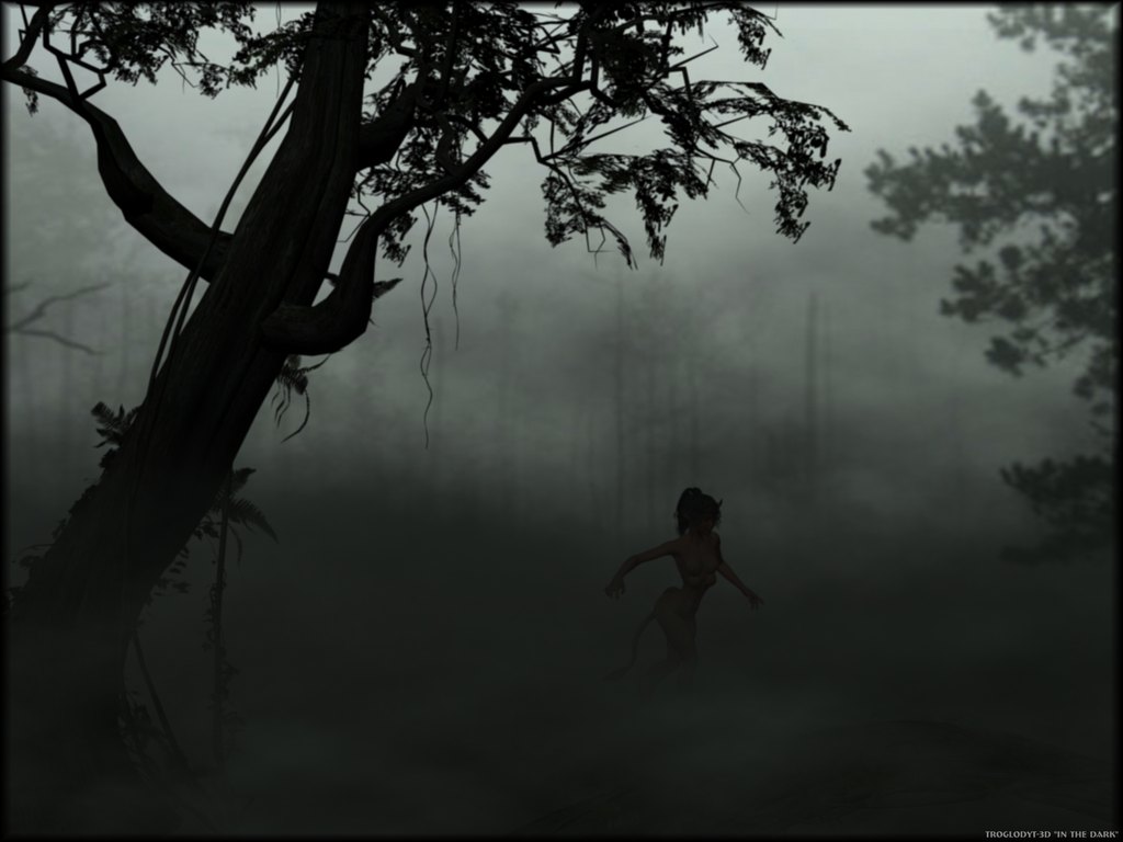 in_the_dark.jpg