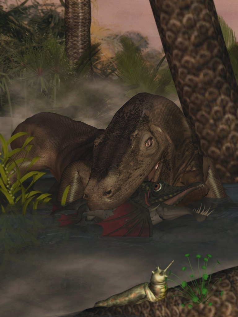 karbon.jpg