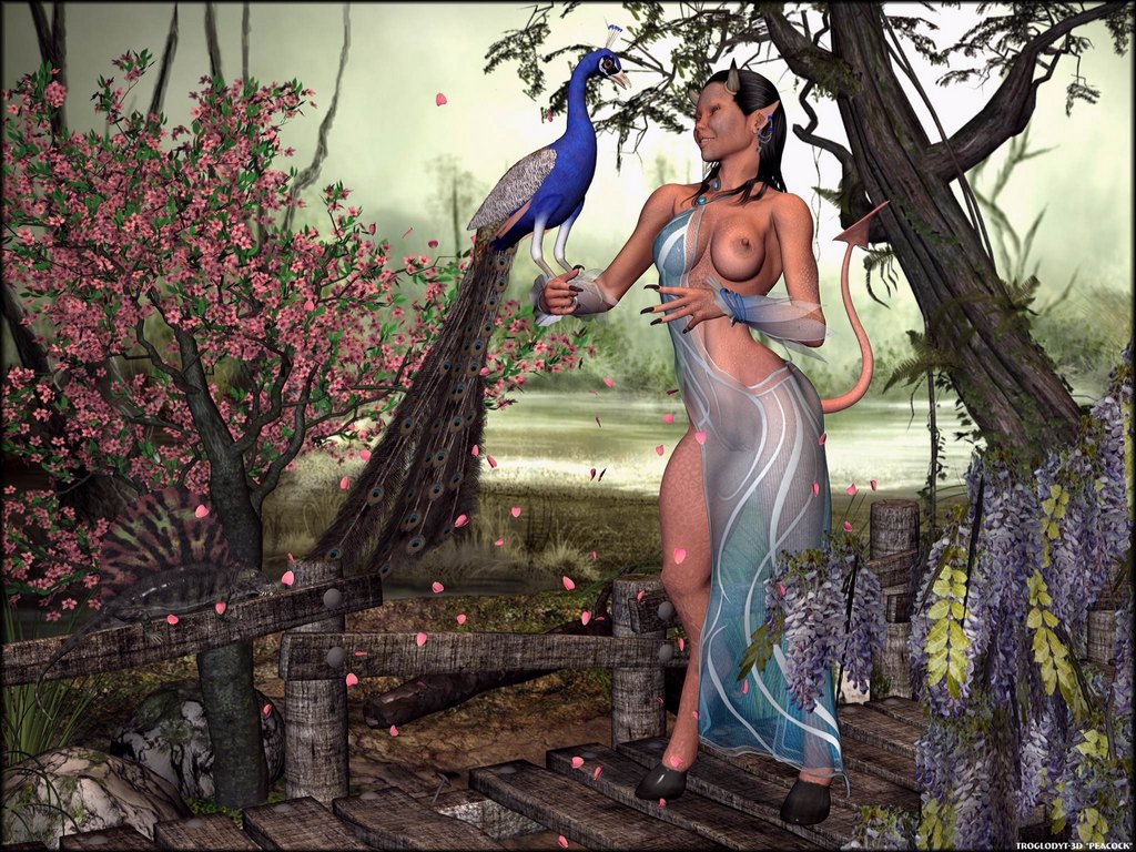 peacock.jpg