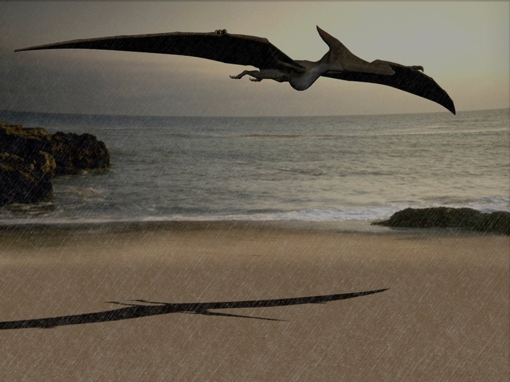 pteranodon.jpg