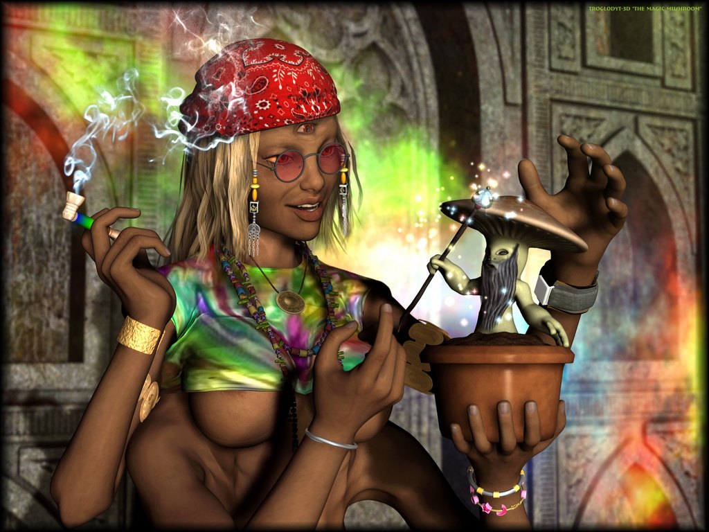 the_magic_mushroom.jpg