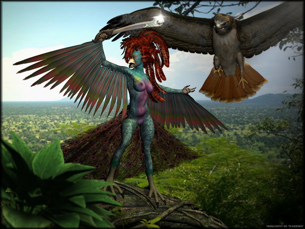warbird.jpg