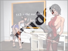 333.jpg