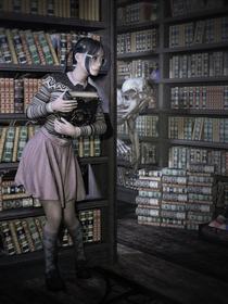 dangers_of_being_a_librarian.jpg