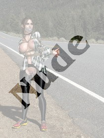 hitchhiker_2.jpg