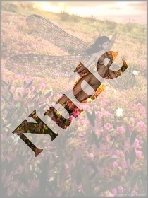 in_the_flowers.jpg