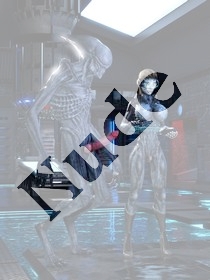 inspection.jpg