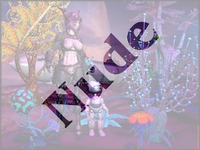 new_garden.jpg