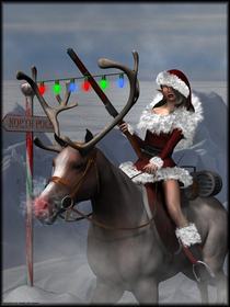 north_pole_patrol.jpg