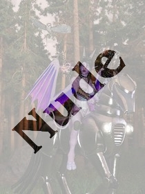 on_horse_through_the_woods.jpg