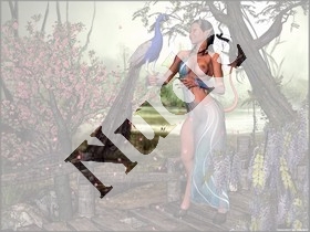 peacock.jpg