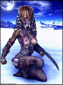 predator.jpg