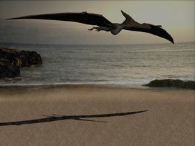 pteranodon.jpg