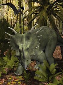 styracosaurus.jpg