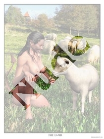the_lamb.jpg