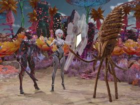 xeno_contact_.jpg